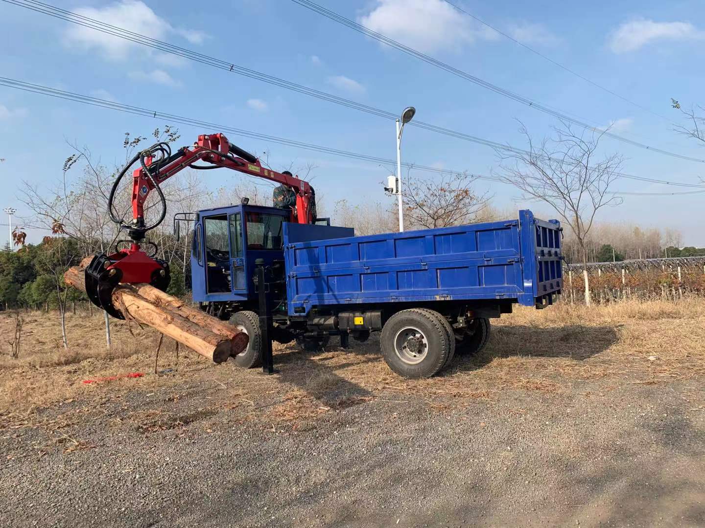 10個の高品質ミニ掘削機油圧回転式木材グラップル、木材グラッ - Mini Excavator のレビューと価格